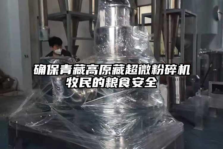 确保青藏高原藏茄子免费视频牧民的粮食安全