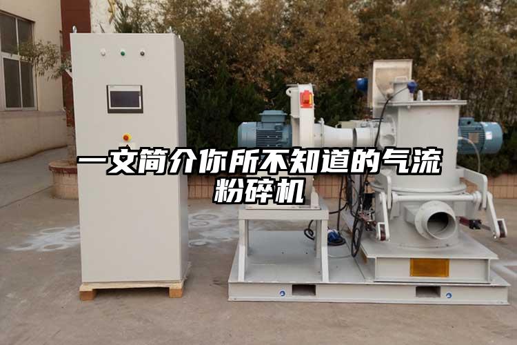 一文简介你所不知道的茄子黄色网站